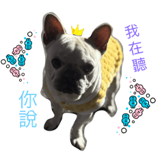 你好：我叫皮皮喲