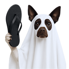 萬聖節狗狗幫 (NT)