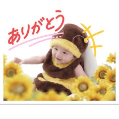 cocoa_20251010235056