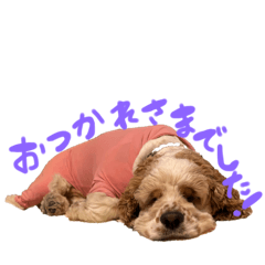 Lemon_20251011000532