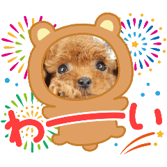 RINKA_20251011093430