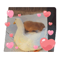 Ling 貼圖表情包（三）