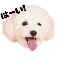 marina_20251010164413