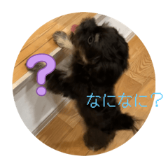 wataame_20251011083136