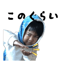 shicha_20251011124937