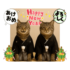 yumi_20251011125356