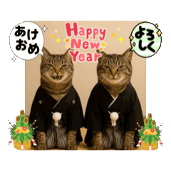 yumi_20251011125511