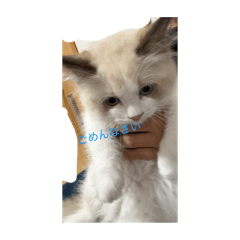 hinata_20251010183332