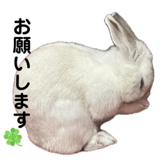 omochi_20251011114425