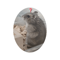 pekko_20251011130218