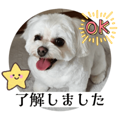 aotan_20251011130902