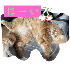 KINAKO_20251011130834