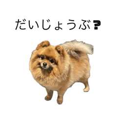 miakomu_20251010011230