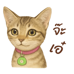 นางสาวทูโทน