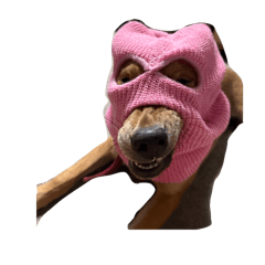 上班日的各種掙扎