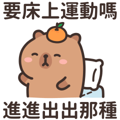 水豚君♡卡皮巴拉