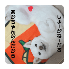 yun_20251010113947