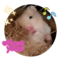 hamuhamu_20251011105558