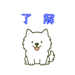 Snowball_20251011162433