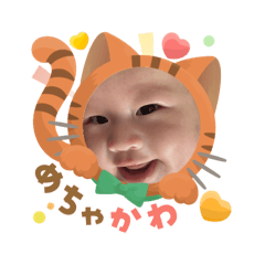 ARISA_20251011162921