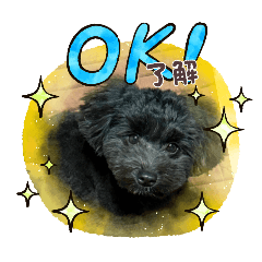 sakura_20251011174434