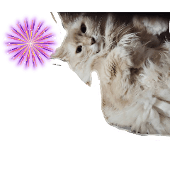 yuuuuuchan_20251011170000