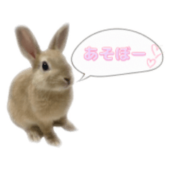 Kinako Relaxed Daily Stickers vol.2