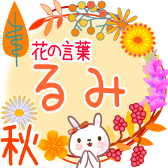 Rumi's Flower Words for Fall