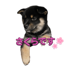 karin_20251011230158