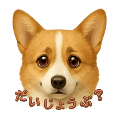 sugar_20251011225406