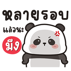 ซินซินเจ้าแพนด้าตัวกลม