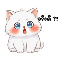 Adorable fluffy kitty1