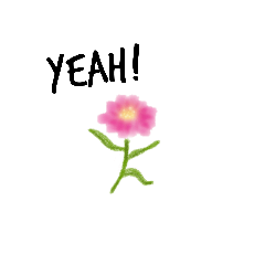 Pink flower.His name is Fuller.