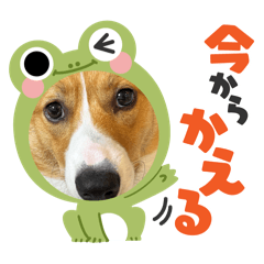 nanami_20251011192555