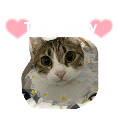 nagisa_20251011192149