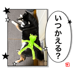 KIKI_20251011203739