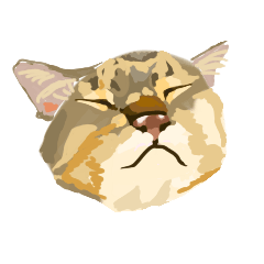 CatsAreCute