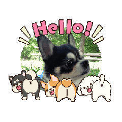 Smile_20251012084704