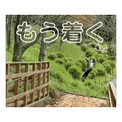 eppi-.-ippe_20251012031727