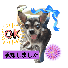 Smile_20251011195628