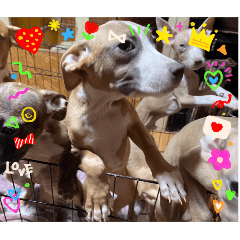 LINE_20251011195941