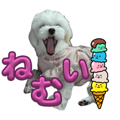 haatan_20251012000622