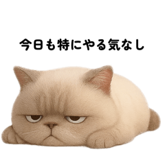 rurunva_20251011202953