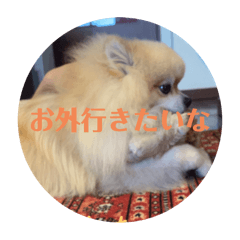 yuka_20251011215831