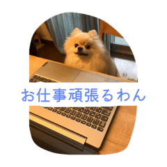 yuka_20251011210037