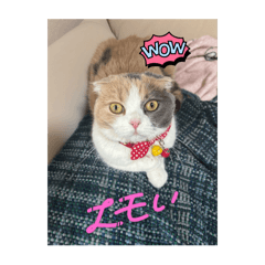 kaoru_20251011222751