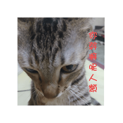 日常小照