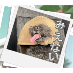 kiki_20251011234556