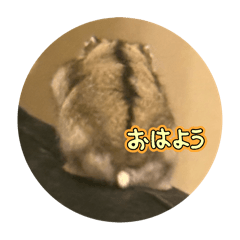 defuku_20251012032552
