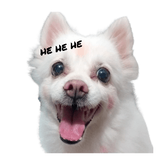 young_20251011145429